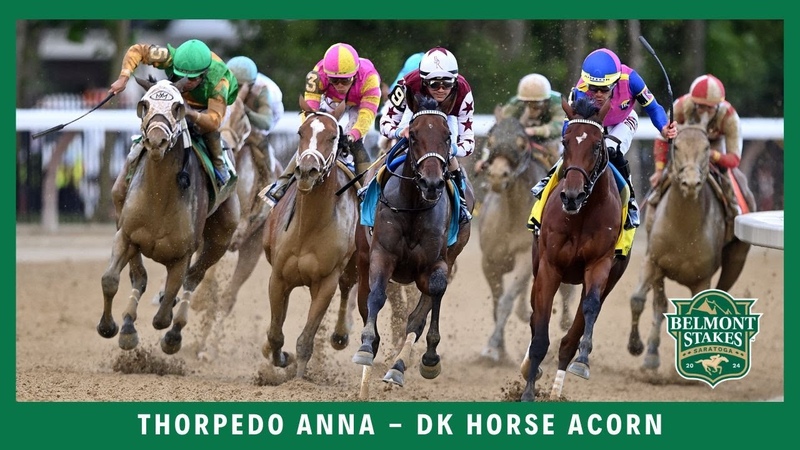 Thorpedo Anna 2024 DK Horse