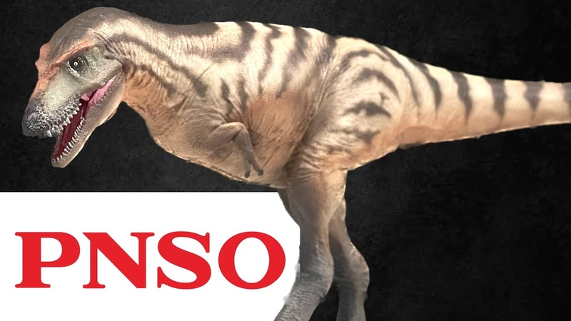PNSO Gorgosaurus Tristan Review Prehistoric Animal Models,
