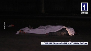 Смертельна аварія поблизу Кривого Рогу