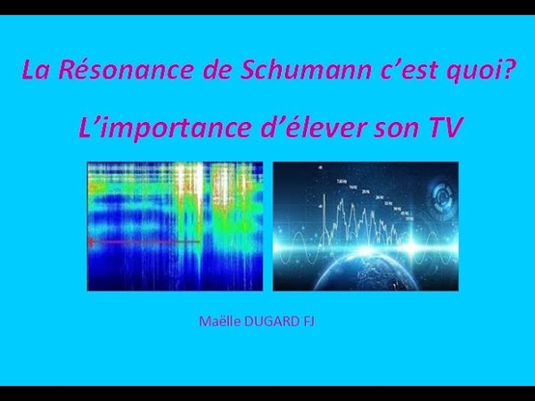 La Résonance de Schumann, cest quoi Limportance délever son Taux Vibratoire