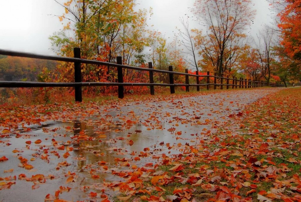 Autumn Falls 5 Autumn Falls 5