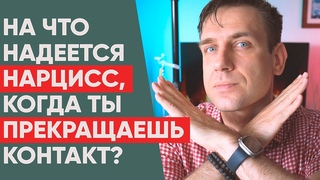На что надеется Нарцисс, когда вы прекращаете контакты