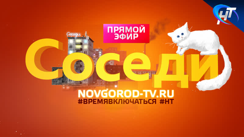 Соседи. Самый юный гроссмейстер России новгородец Арсений