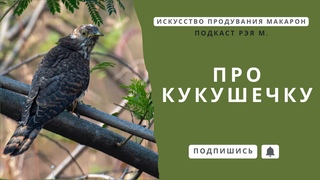 Проблемы осознанности. Подкаст: Искусство продувания макарон Рэя М.