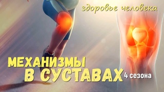 Мы нашли тонкие механизмы в суставах, работа со здоровьем бизнесмена