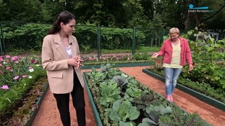 Садоводство Боде — потаённый уголок Павловского парка