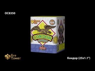 ОС8350 Кондор (1,1х 25)