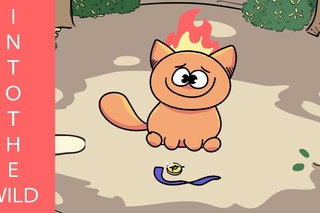 Warrior Cats Animated Into The Wild: Episode 1 (Red Dead Tail)