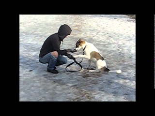 Люся и Барон.wmv
