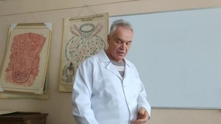 Мочевыделительная система. Часть 1.