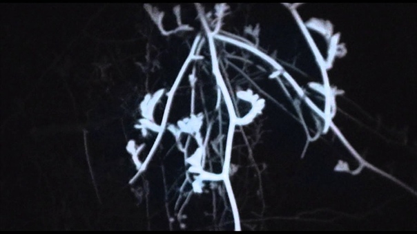 White Chamber