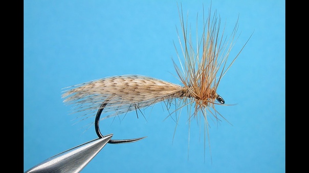 Spent Caddis (generic) tied by Hans