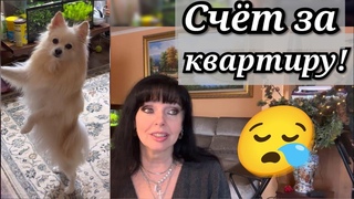 ✅ Дегустация Подарков ✅ Следующий Стрим ♥️ Ruta Vlog  @HozajushkaRuta @RutaLutkevica