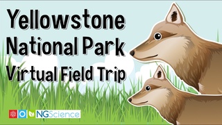Yellowstone National Park  Virtual Field Trip