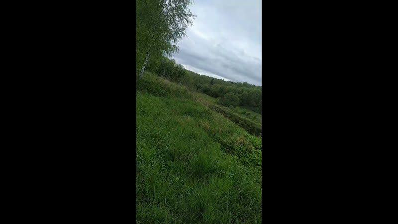 Проста