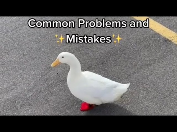 How to Pick Up a