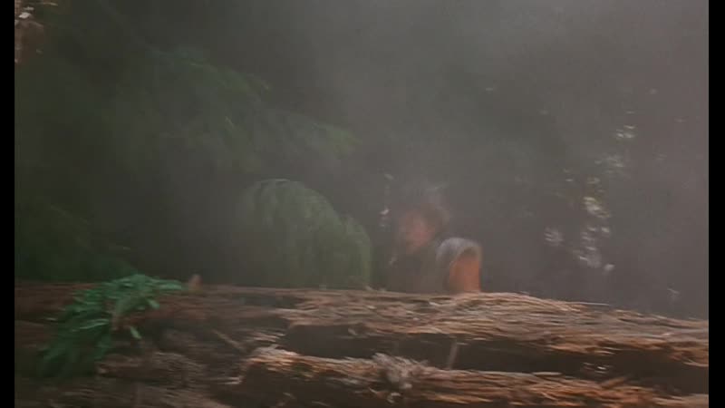 The Ewok Adventure: Caravan of Courage, Еуокско приключение: Керванът на