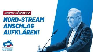 Horst Förster: Nord Stream Anschläge aufklären