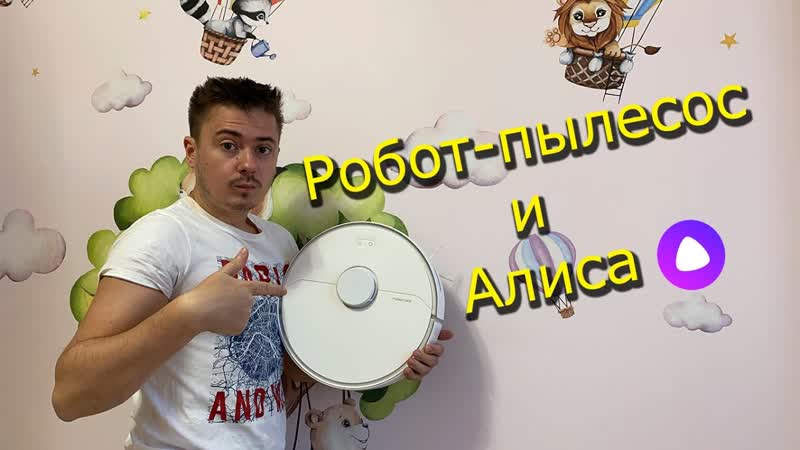 Roborock s6 Pure и Алиса обзор владельца, , Будущее наступило Умный