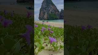 КАК МЫСЛЬ СОЗДАЕТ СОБЫТИЯ