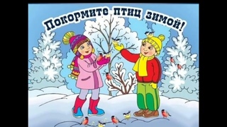 День кормления птиц. Старшая группа Б
