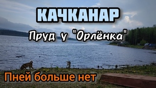 КАК ИЗМЕНИЛСЯ ПРУД ВОЗЛЕ п/л ОРЛЁНОК В ЭТОМ ГОДУ.