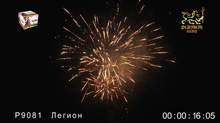 Р9081   Легион (0,8х 49 зарядов)