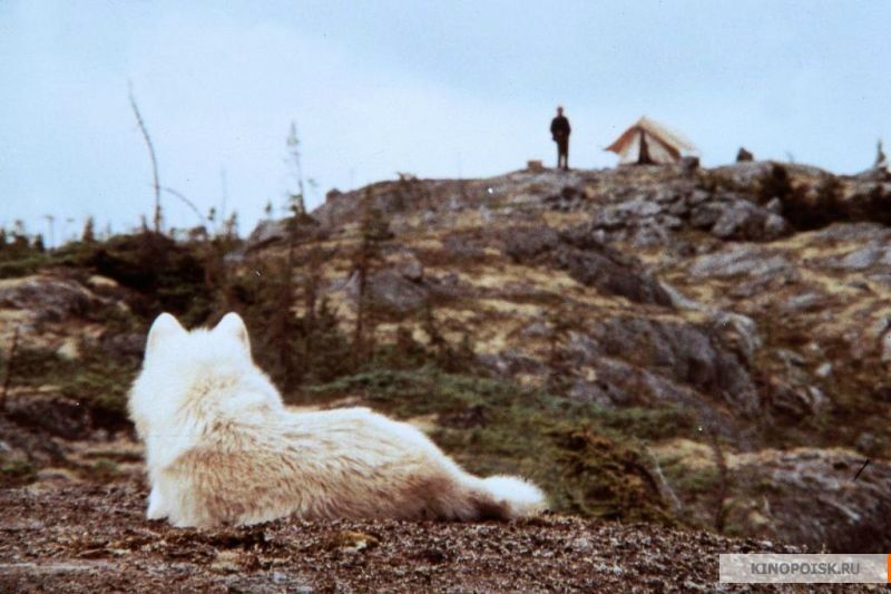 №3, Даша Филатова, 35 лет №3, Даша Филатова, 35 лет