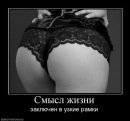Фотография Васильева Дмитрия