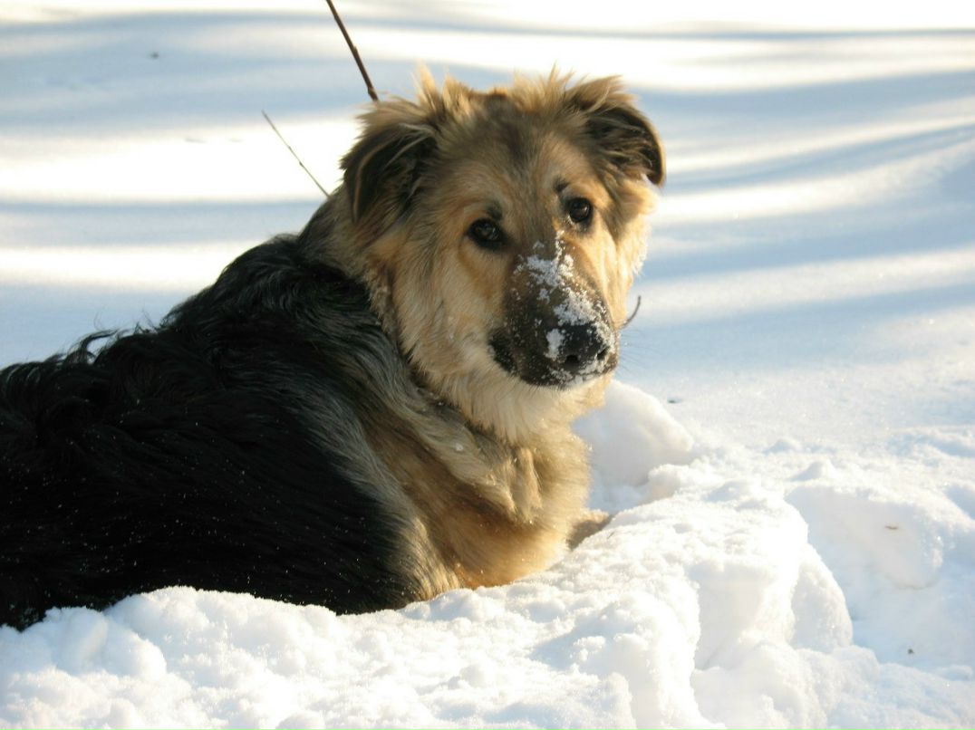 Ирина Коновалова | Сургут