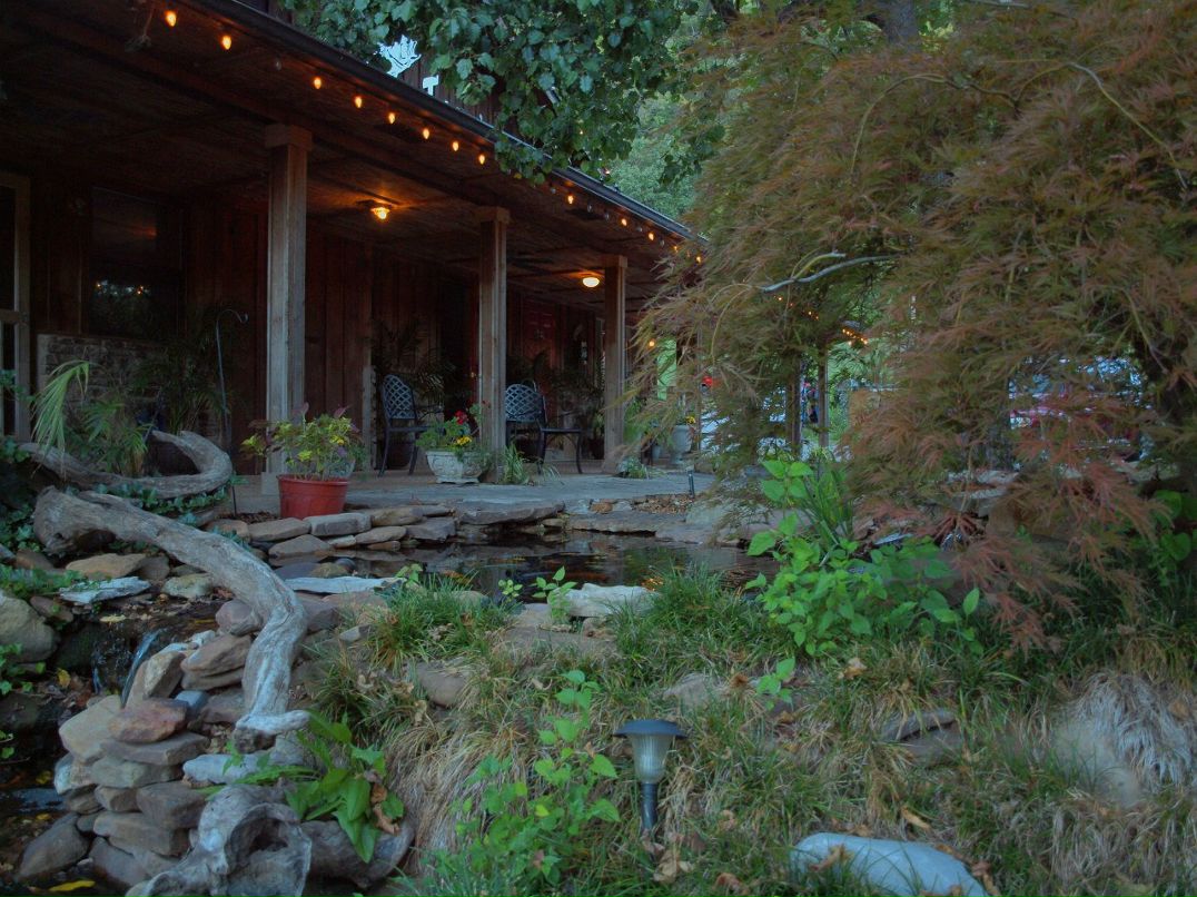 Елена Тонких | Самара