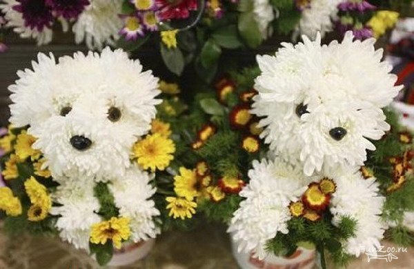 Татьяна Борисова | Ярославль