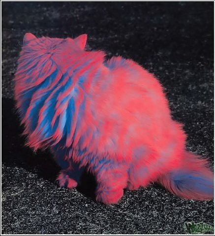 №68, Алена Иваева, 29.3.1985, Челябинск №68, Алена Иваева, 29.3.1985, Челябинск