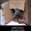 Аватар: Святослав Поляков