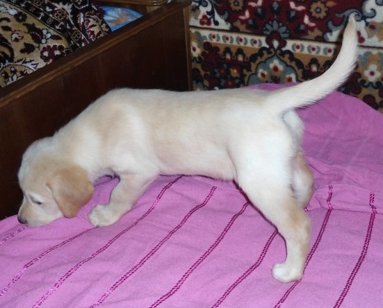 Виктория Бормотова | Киев