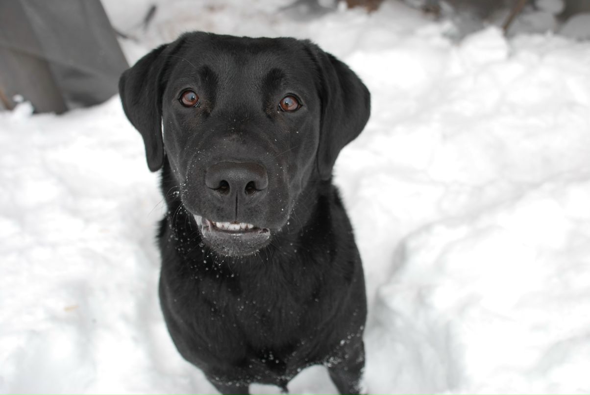 Анастасия Егорова ZаSRаNка | Орехово-Зуево