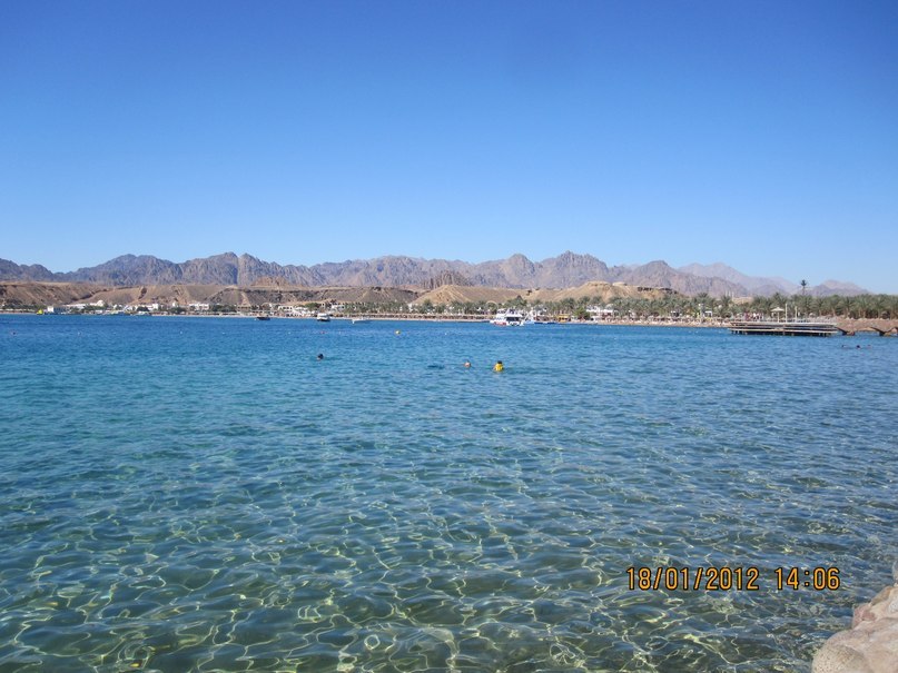 Жанна Левина | Щелково