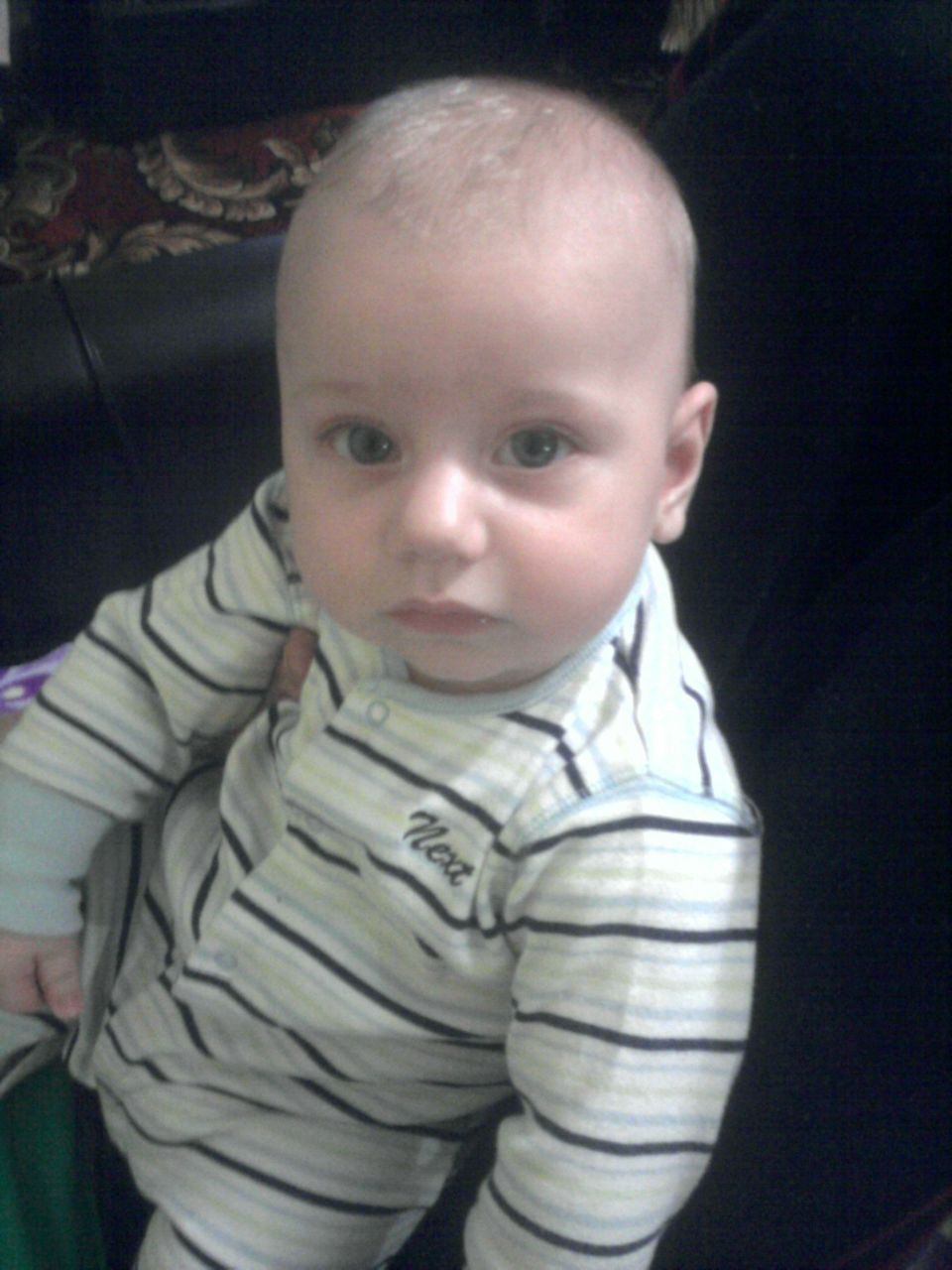 Молька Сомуа | Новоднестровск