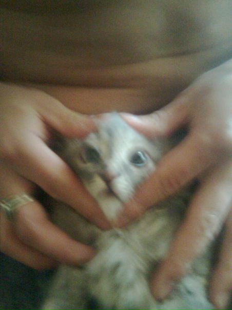 №168, Илья Цой, 34 года, Южно-Сахалинск, Россия №168, Илья Цой, 34 года, Южно-Сахалинск, Россия