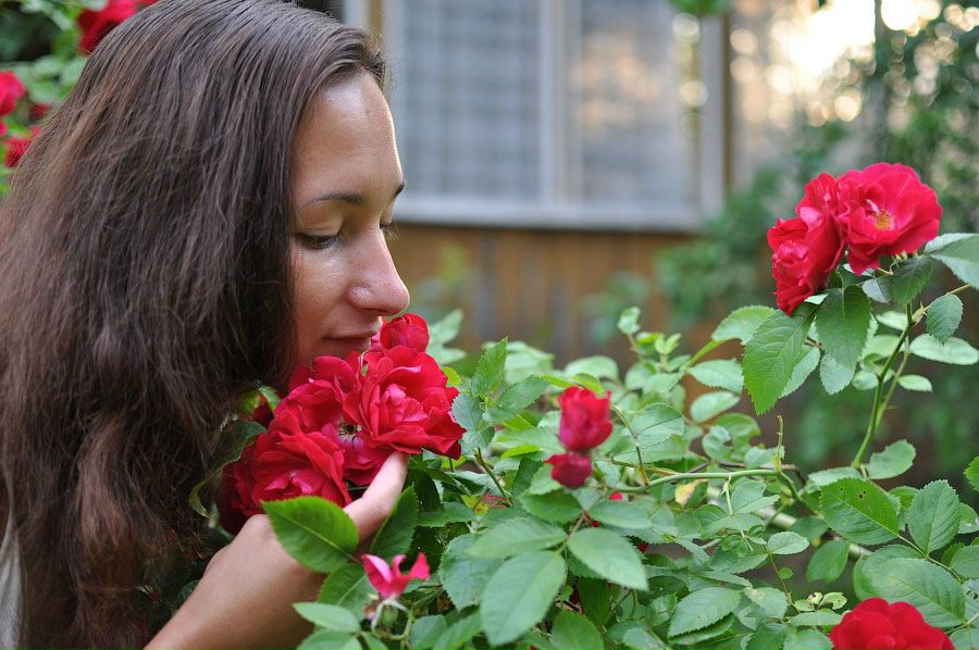 №94, Мари Котялапа, Москва №94, Мари Котялапа, Москва