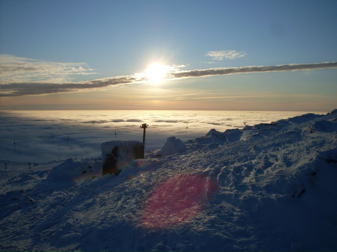 Wild Mike | Санкт-Петербург