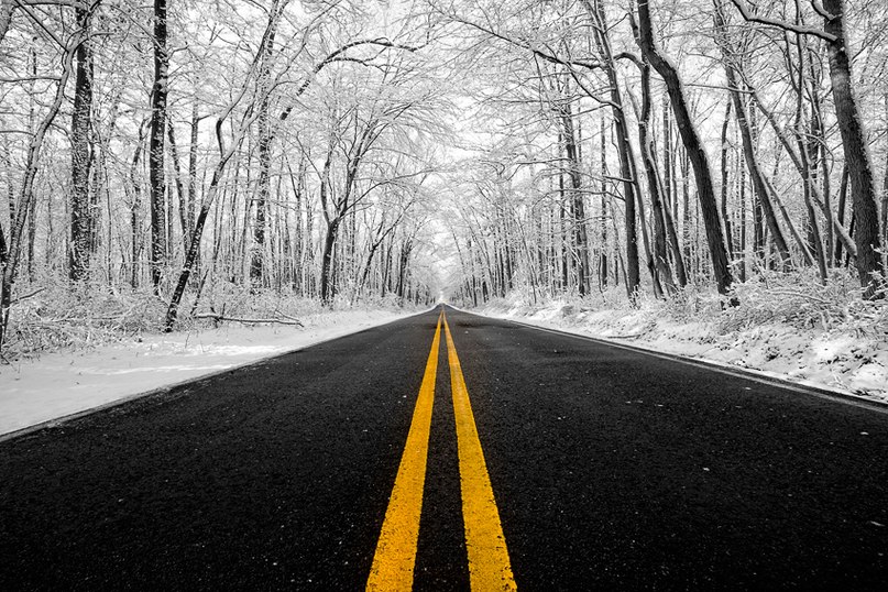 Алексей Сизов | Москва