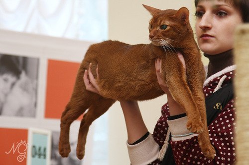 Катерина Uma rock♥n♥heart | Санкт-Петербург