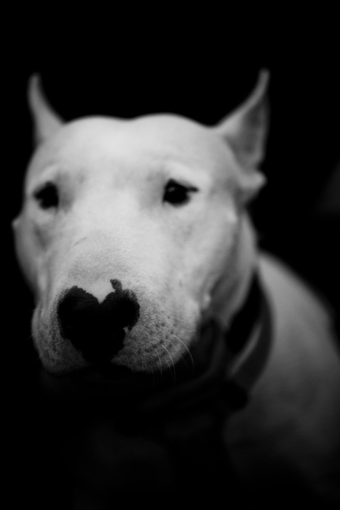 Антон Карсунцев | Волжский