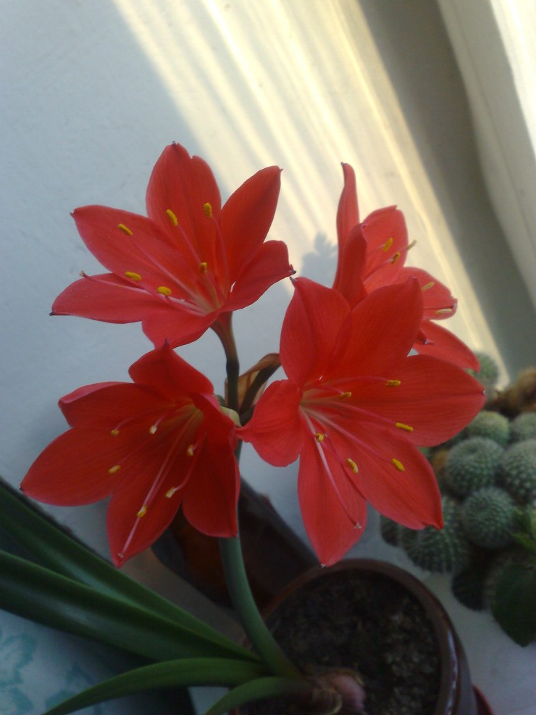 Алексей Яковлев | Москва