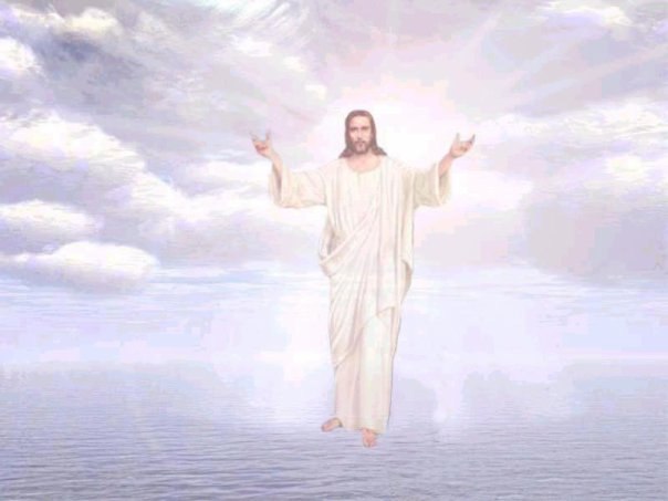 Артем Боголюбов | Донецк