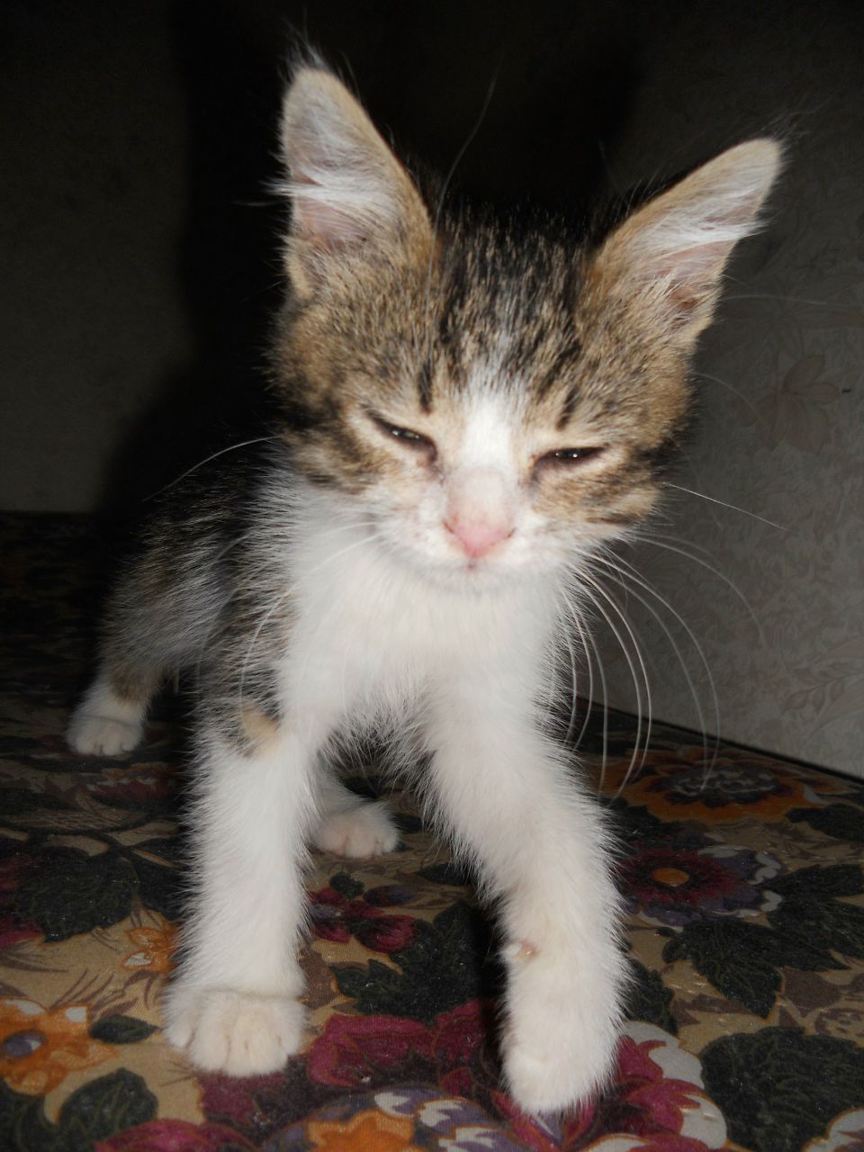 Олег Колотовкин MiStiks | Волгоград