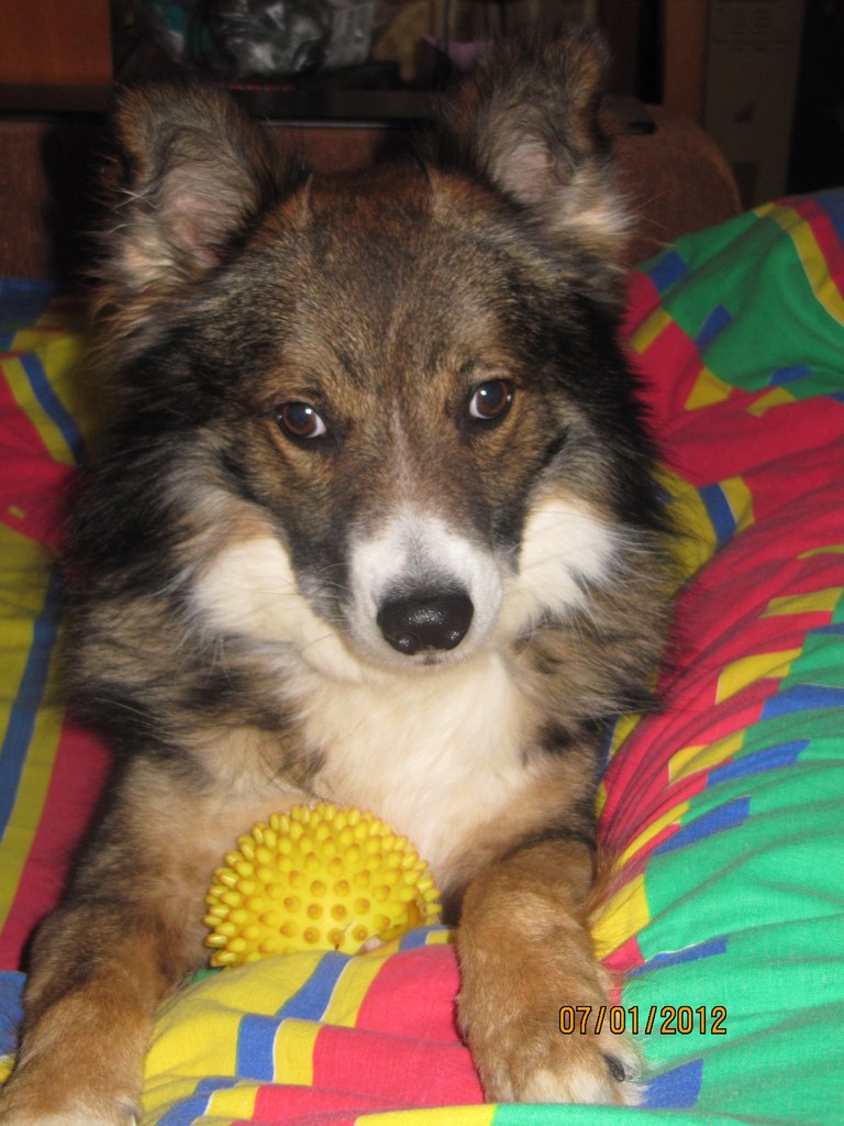 Татьяна Кузьменко | Иваново