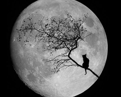 №13, Марина Тенякшева, 38 лет, Новосибирск №13, Марина Тенякшева, 38 лет, Новосибирск