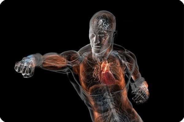 Rashid Sattarov | Москва